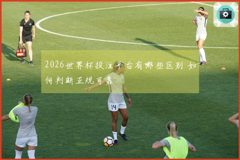 2026世界杯投注平台有哪些区别 如何判断正规可靠