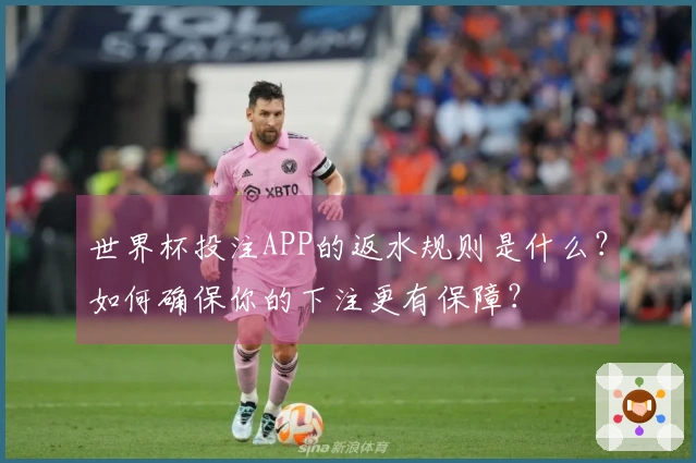 世界杯投注APP的返水规则是什么？如何确保你的下注更有保障？